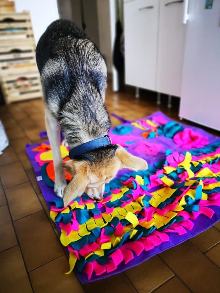 Activité chien tapis de fouille snuffle mat